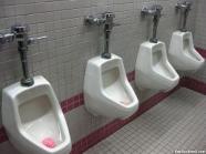 urinals installed by our Queen Creek plumbers